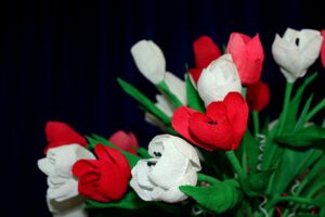 kwiaty-święto-niepodległości-11-listopada